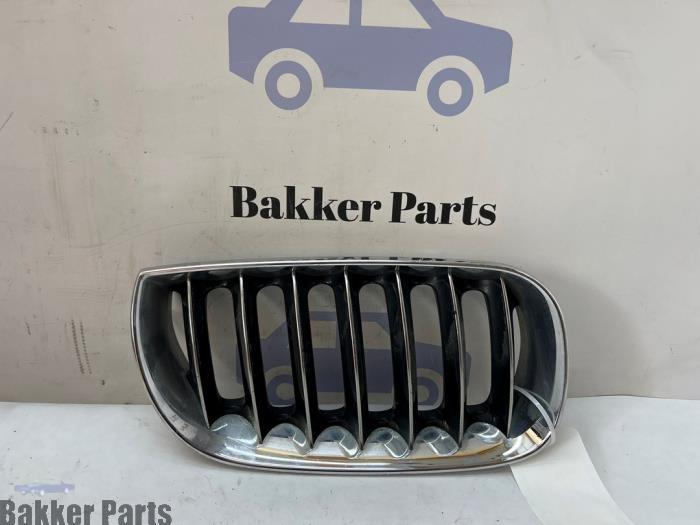 Grille van een BMW X3, Gebruikt, -, -, Ophalen of Verzenden