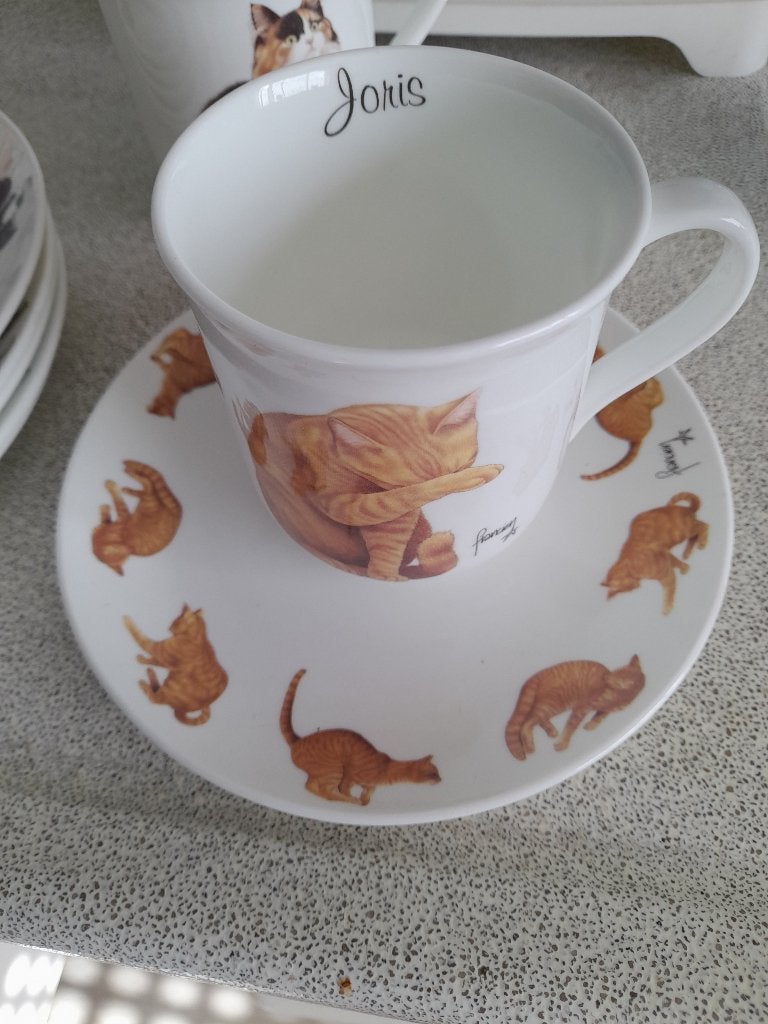 SERVIES FRANCIEN, Overige merken, Nieuw, Ophalen of Verzenden, Bord(en)