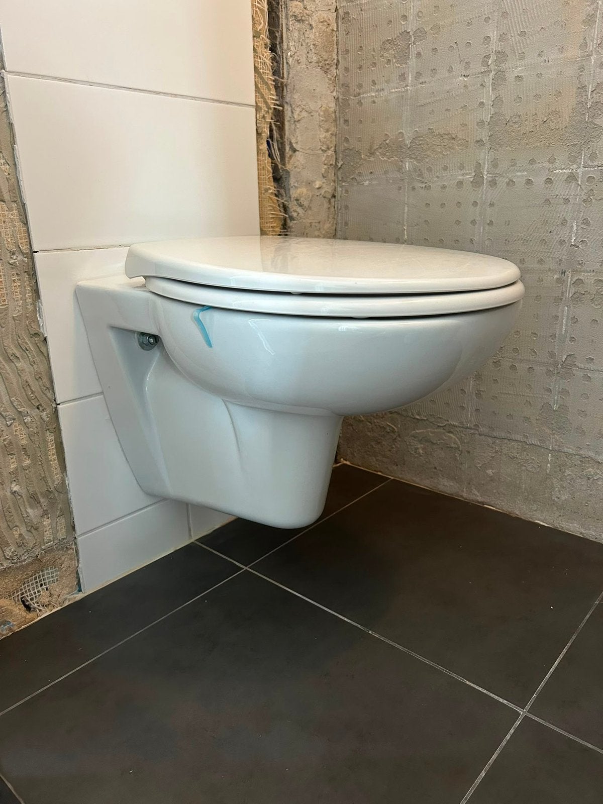 Wandcloset met Geberit inbouwreservoir en bedieningsplaat, Doe-het-zelf en Verbouw, Sanitair, Ophalen, Zo goed als nieuw, Toilet