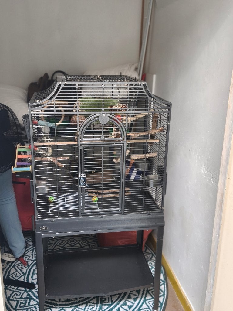 vogelkooi, Ophalen, Zo goed als nieuw, Metaal, Vogelkooi