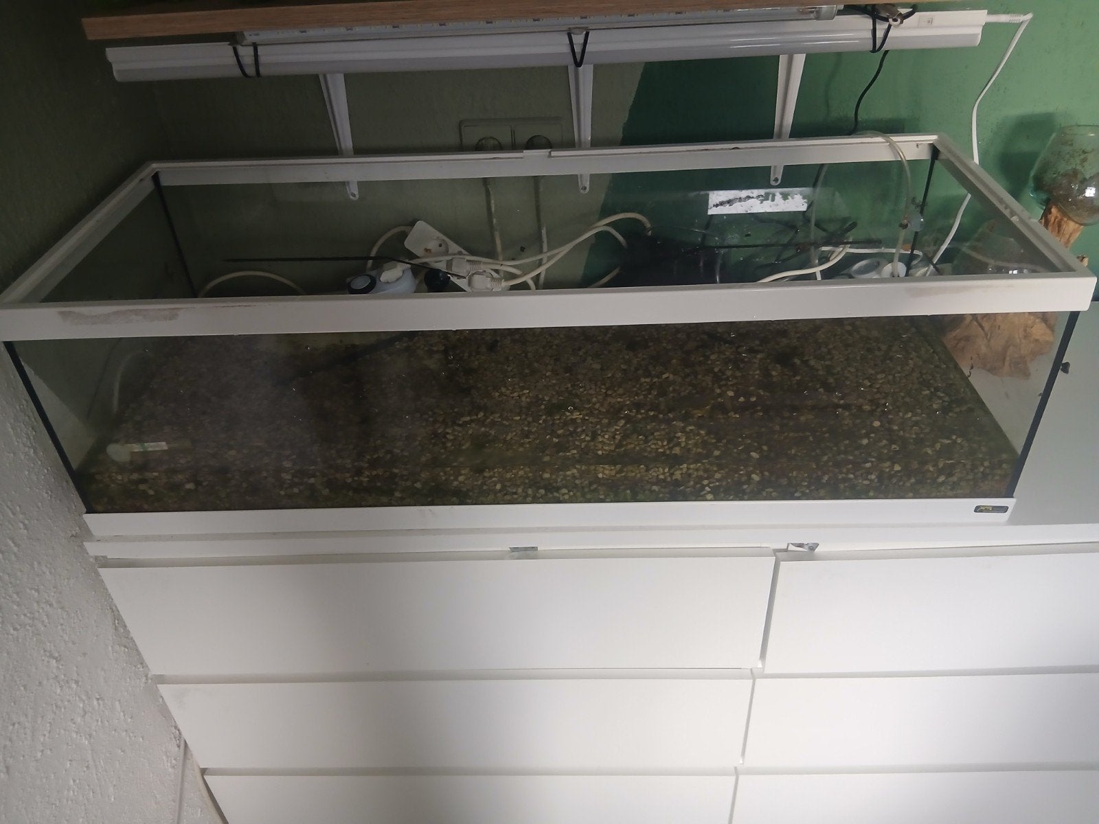 Aquariumbak, Dieren en Toebehoren, Ophalen, Leeg aquarium