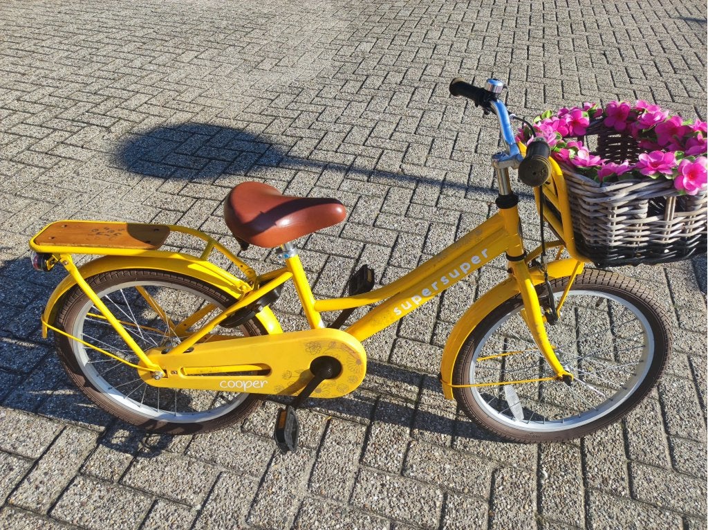 Super super meisjes 20 inch net en goed, Terugtraprem, Niet ingevuld, Cortina, Niet ingevuld