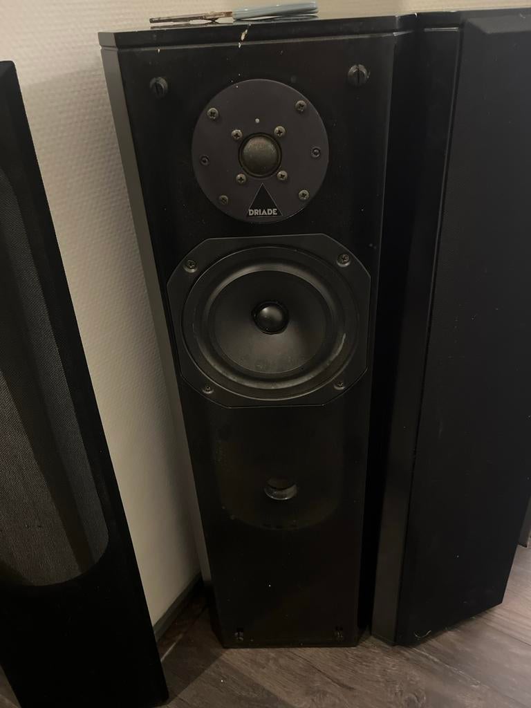 Driade Vloerstaande Luidspreker - Zwart, Gebruikt, 60 tot 120 watt, Front, Rear of Stereo speakers, Ophalen