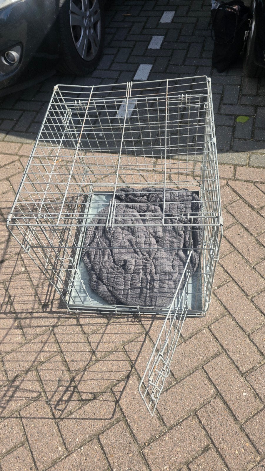 Honden of katten benche, Ophalen