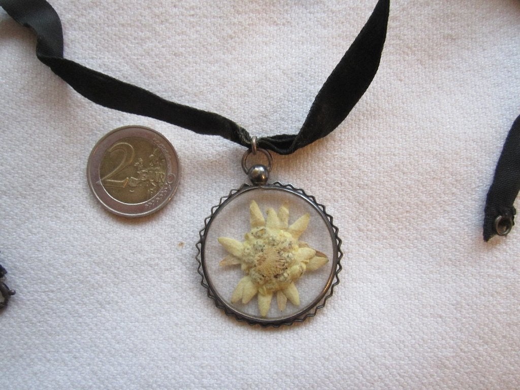 10.  Schitterende oude hanger, edelweiss, Ophalen, Overige materialen, Hanger