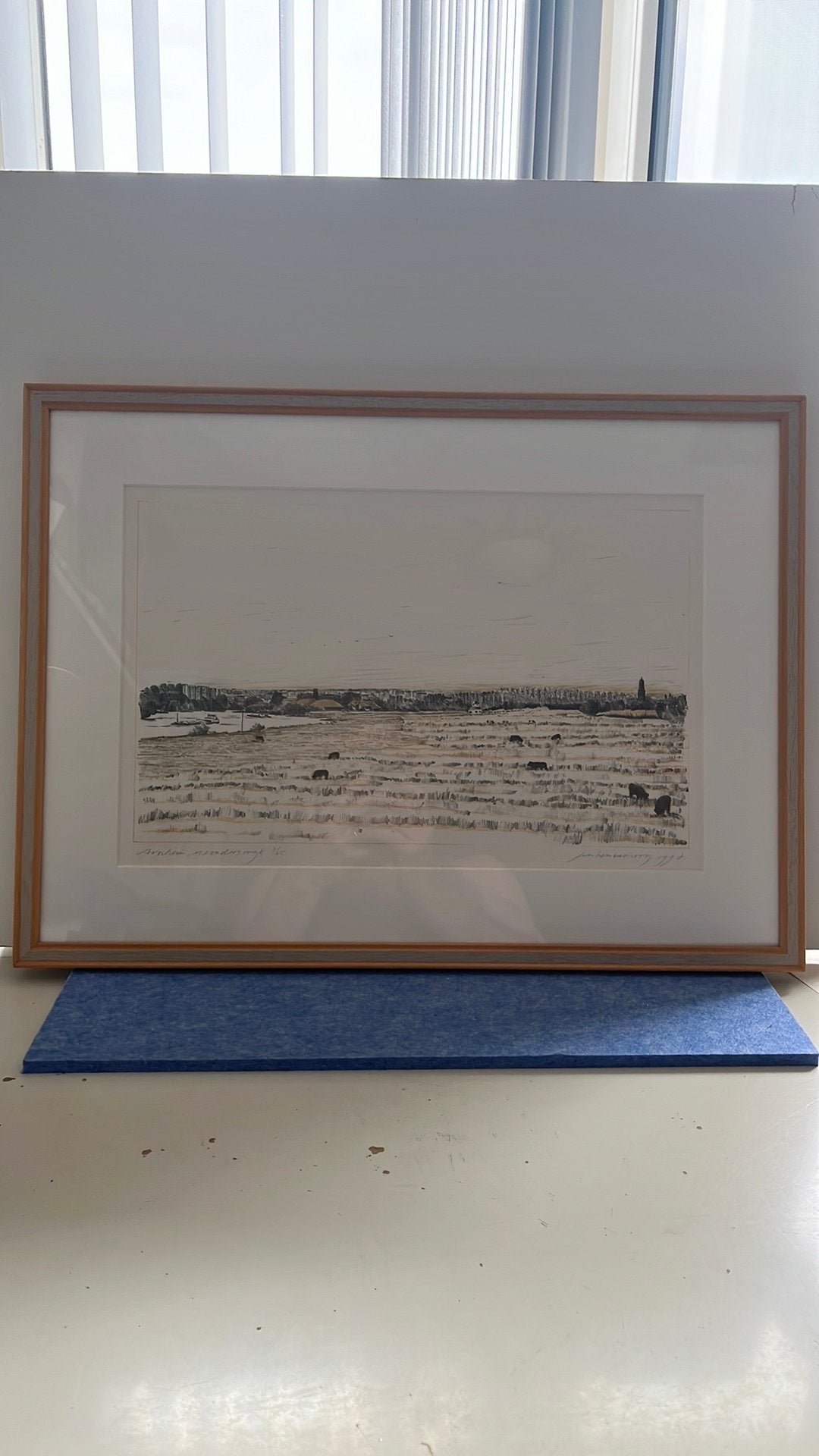 Litho “Arnhem, Meinderswijk, 1998 van Jan Hein van Rooy., Ophalen, 1950 - 1999, Landschap, 58 cm