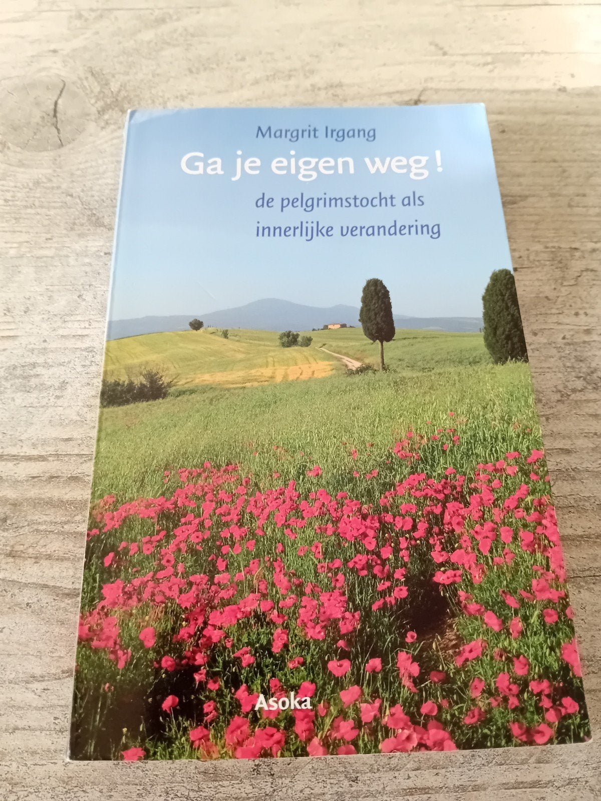 Ga je eigen weg! Pelgrimstocht als innerlijke verandering, Margrit Irgang, Europa, Ophalen of Verzenden, Reisgids of -boek