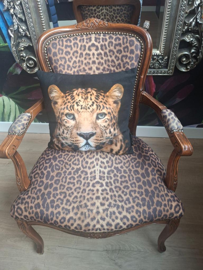 Unieke Panterprint Fauteuil met Kussen, Ophalen