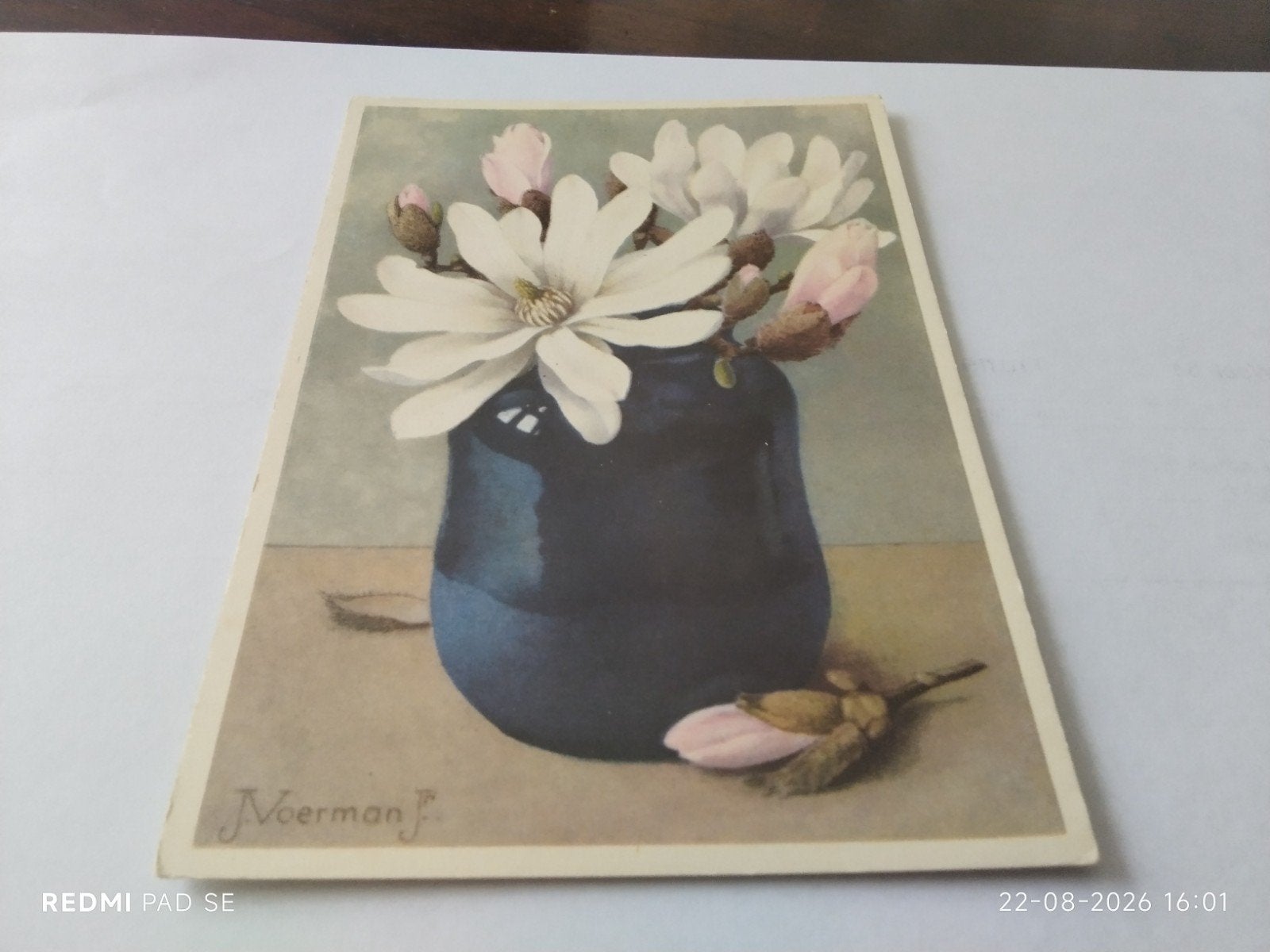 Ansichtkaart Magnolia Stellata J. Voerman Jr. (ongelopen), Ophalen of Verzenden, 1980 tot heden