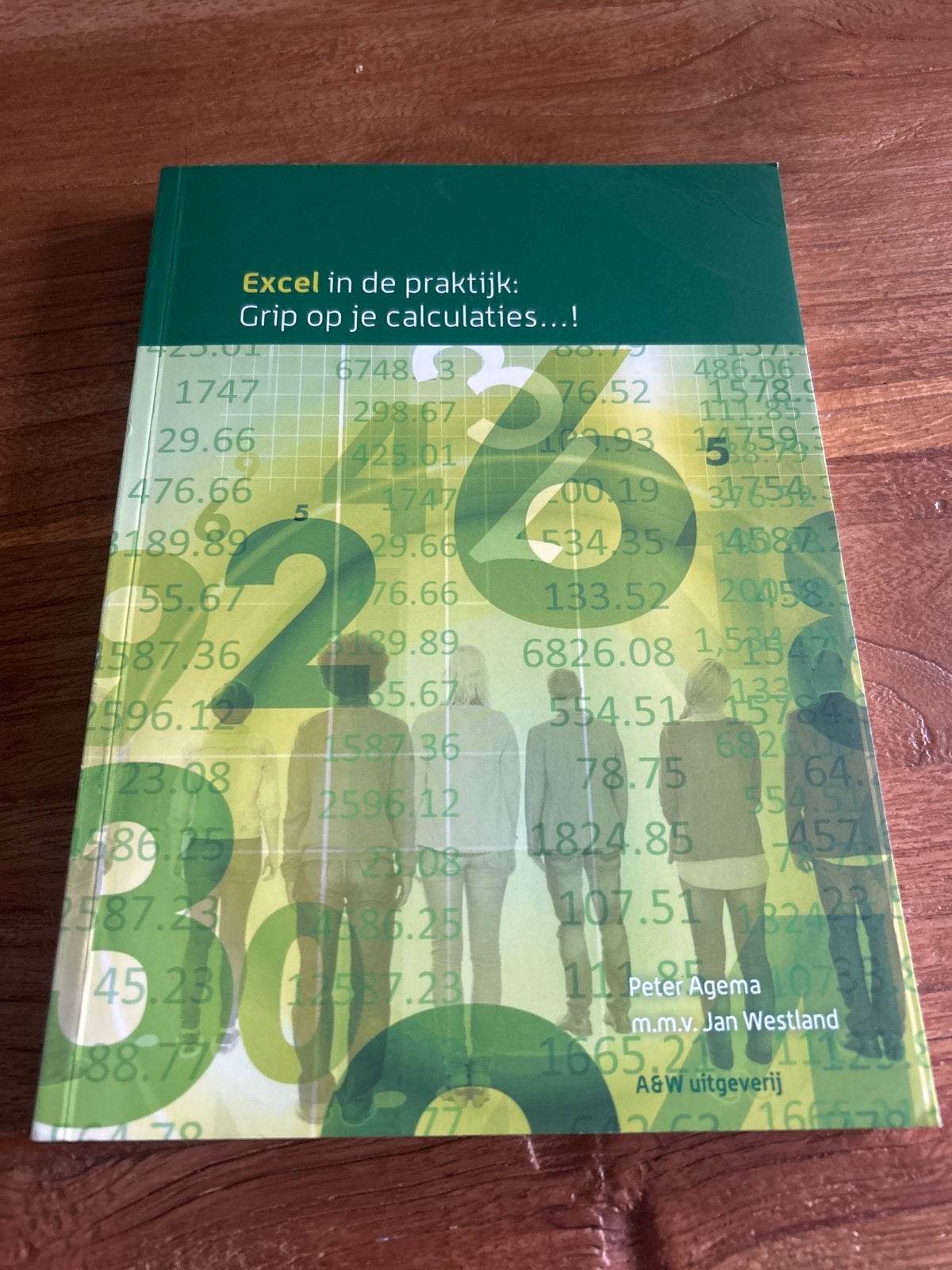 Excel in de praktijk: Grip op je calculaties...!, Boeken, Ophalen of Verzenden, Zo goed als nieuw, Software