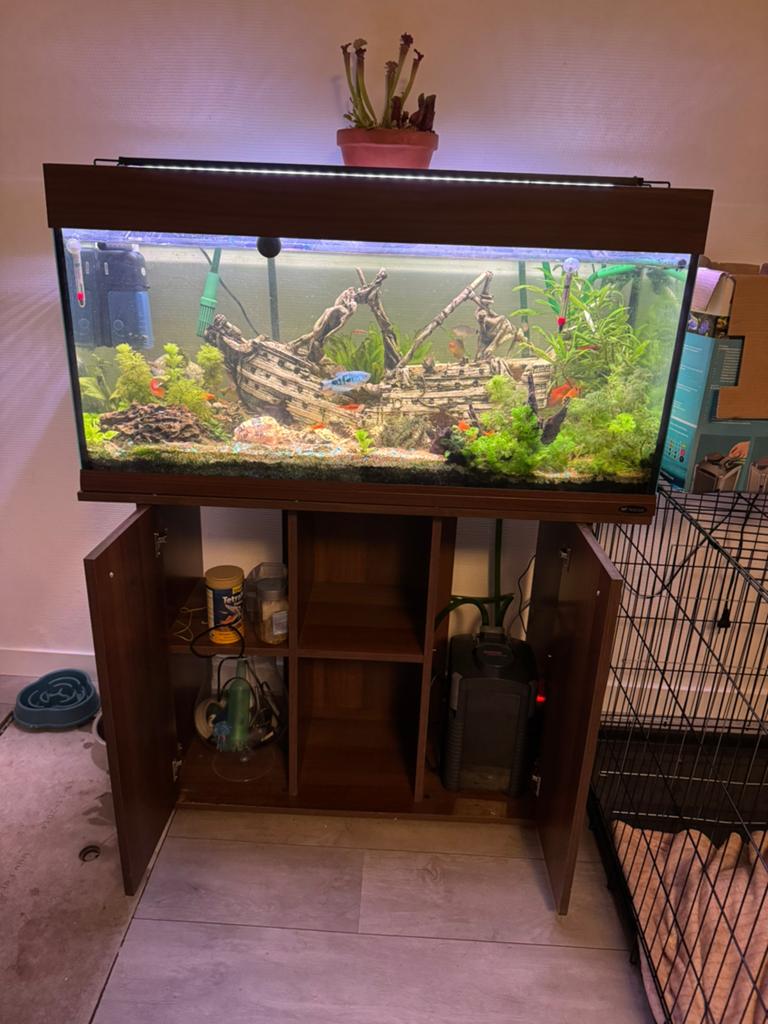 Aquarium 240 L + kast + Lamp, Ophalen, Zo goed als nieuw, Leeg aquarium