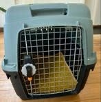 Transportbox kleine hond, Ophalen, Zo goed als nieuw
