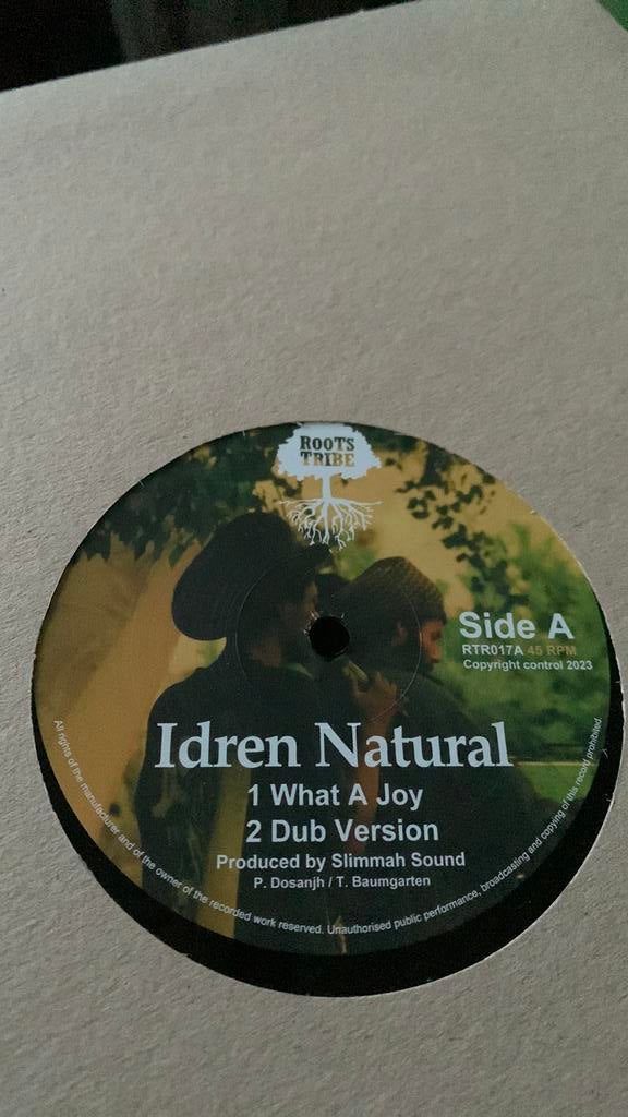Idren Natural - What A Joy (Reggae / Dub 12”), Maxi-single, 2020 tot heden, Ophalen of Verzenden, Zo goed als nieuw