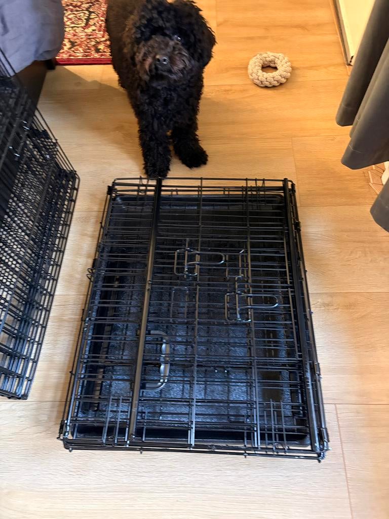 Puppypakket, ren, bench, puppytoilet, Dieren en Toebehoren, Ophalen, 110 cm of meer, Minder dan 65 cm, Zo goed als nieuw