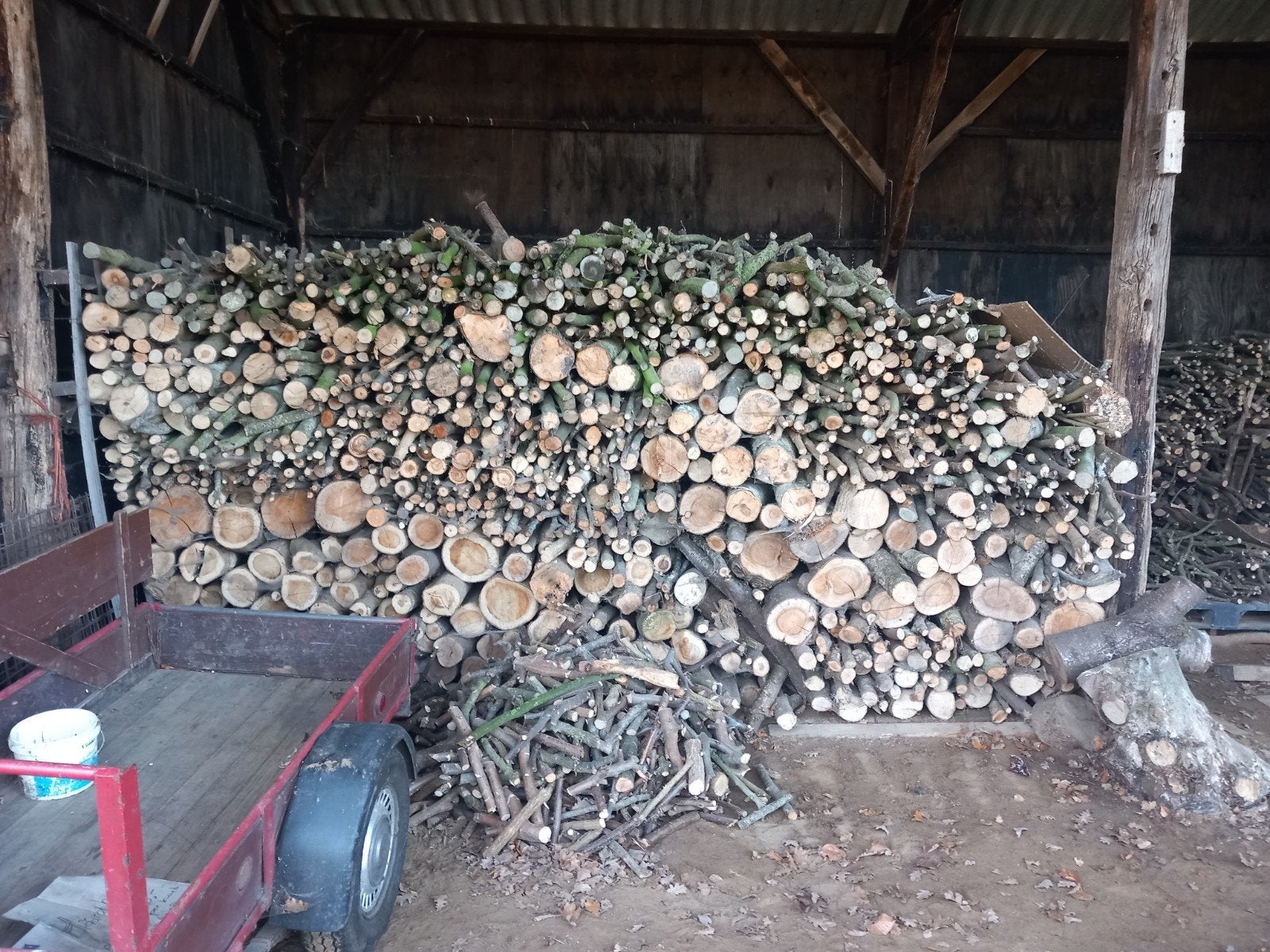 Openhaardhout en wilgenhout - Stammen, 6 m³ of meer, Ophalen, Overige houtsoorten, Stammen