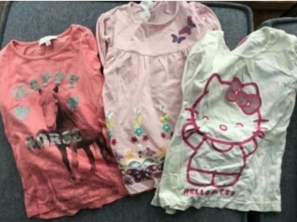 pakket longsleeves in maat 110, Kinderen en Baby's, Ophalen, Gebruikt, Meisje, Shirt of Longsleeve