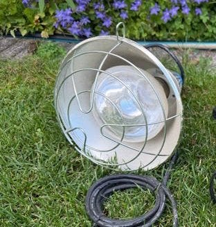Warmtelamp kuikens incl. voer, Dieren en Toebehoren, Overige Dieren-accessoires, Ophalen of Verzenden