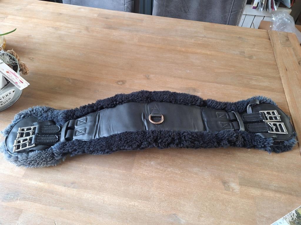 Te koop singel, Dieren en Toebehoren, Ophalen of Verzenden, Zo goed als nieuw, Dressuur