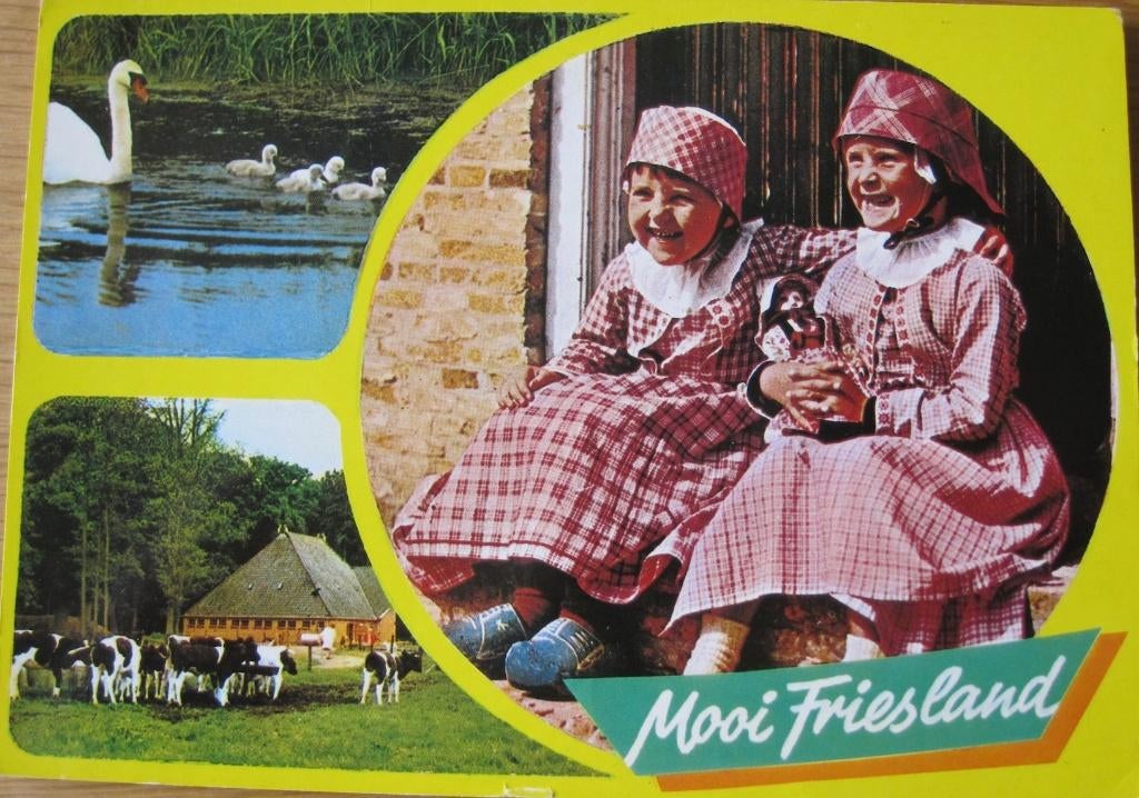 Mooi Friesland - nieuw, Verzenden, 1980 tot heden, Ongelopen, Friesland