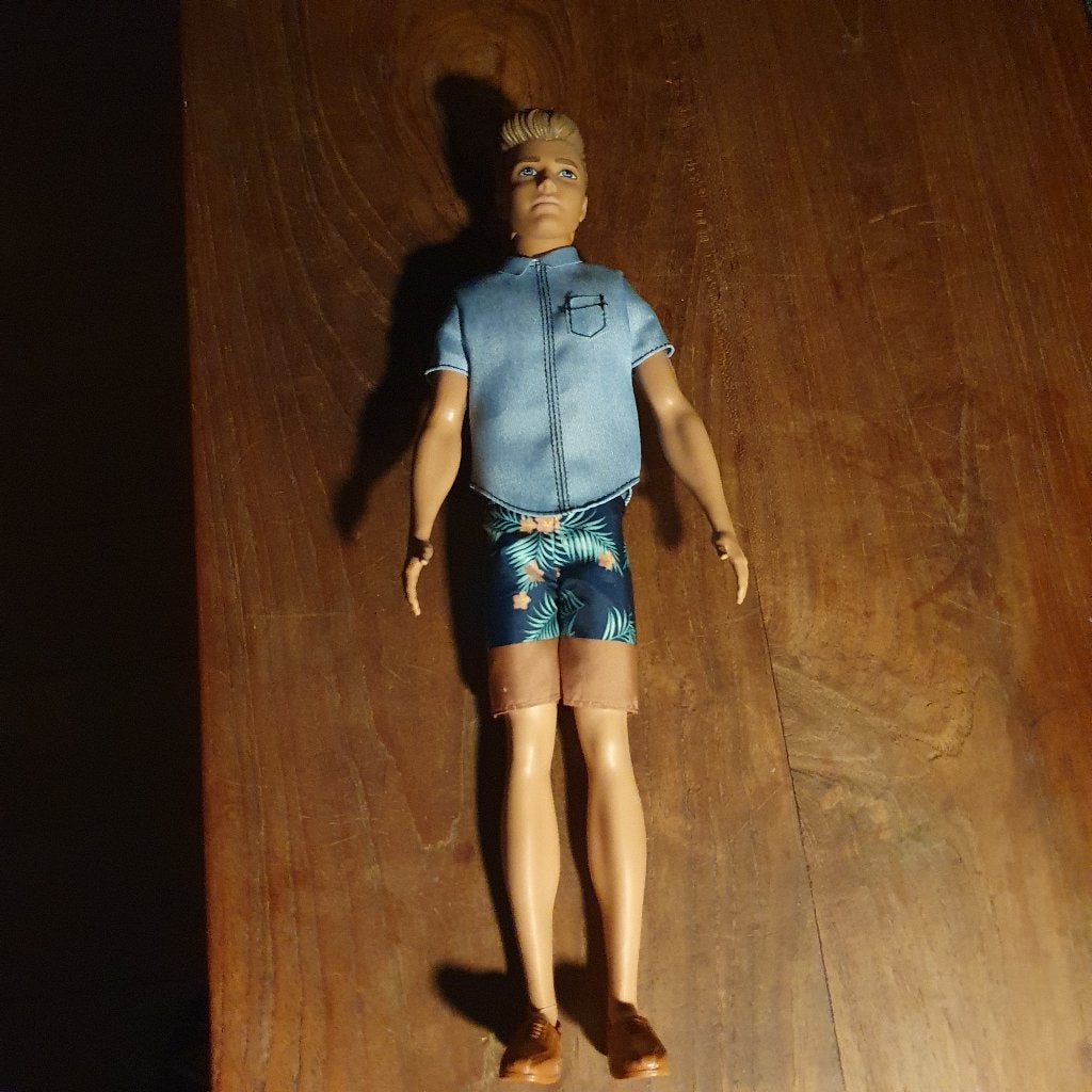 Foto 12 van Barbie poppen