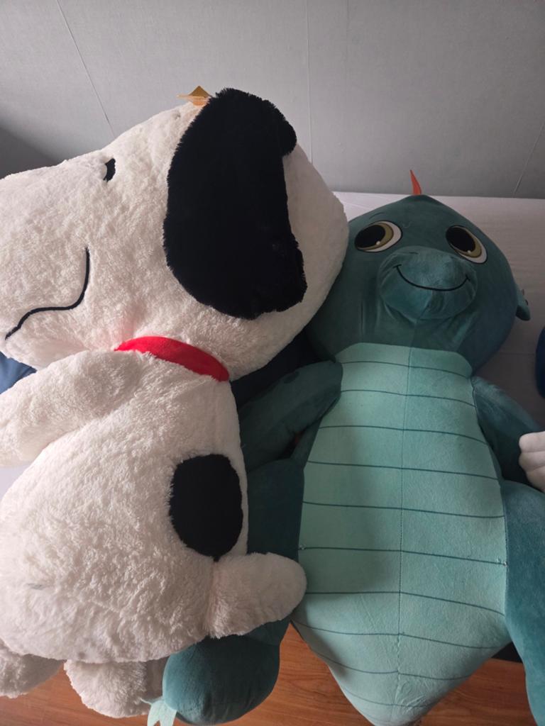 Grote knuffels, Kinderen en Baby's, Speelgoed | Knuffels en Pluche, Ophalen of Verzenden, Zo goed als nieuw, Overige typen, Middelgroot (20 tot 80 cm)