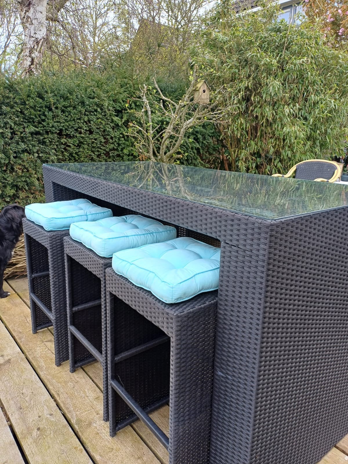 Tuinbarset incl 6 stoelen te koop, Tuin en Terras, Ophalen, Gebruikt, 6 zitplaatsen