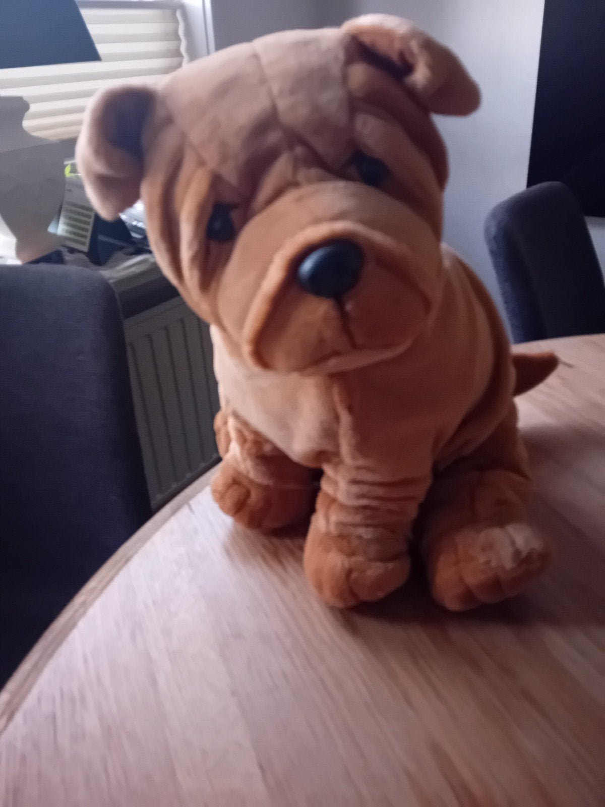 Prachtige Sharpei knuffelhond, Gebruikt, Overige karakters, Middelgroot (20 tot 80 cm), Bruin