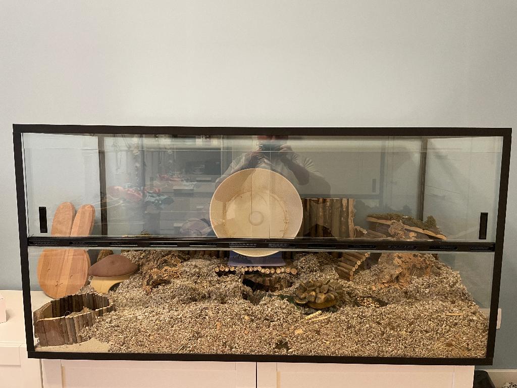 Groot terrarium 120x50x60 + alle accessoires | complete set, Dieren en Toebehoren, Knaagdieren en Konijnen | Hokken en Kooien