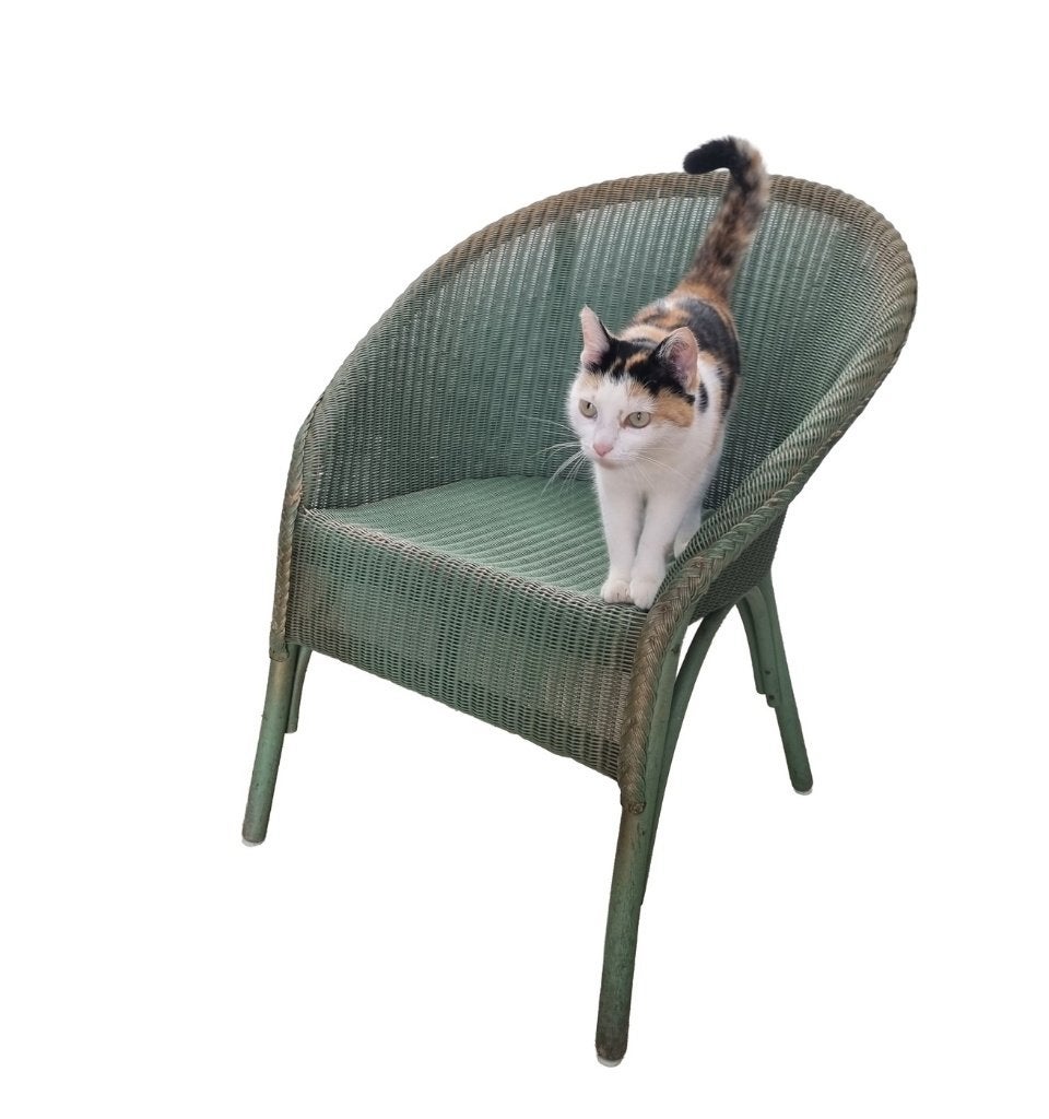 Lloyd Loom kuipfauteuil in groen - gedateerd Nov 1954, Ophalen, Gebruikt, 75 tot 100 cm, Metaal