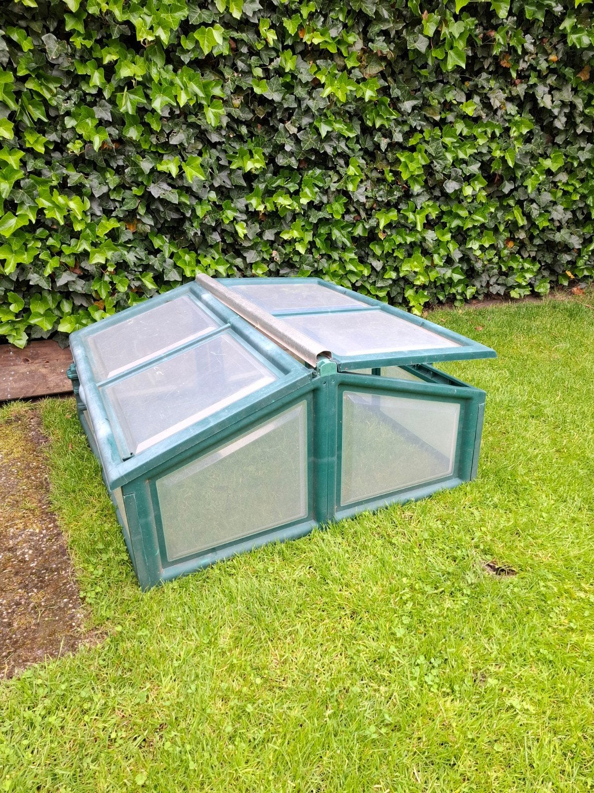 Kas Kweekkas. Kunststof 100x100 cm., Tuin en Terras, Kassen, Ophalen, Gebruikt, Overige materialen, Kweekkas