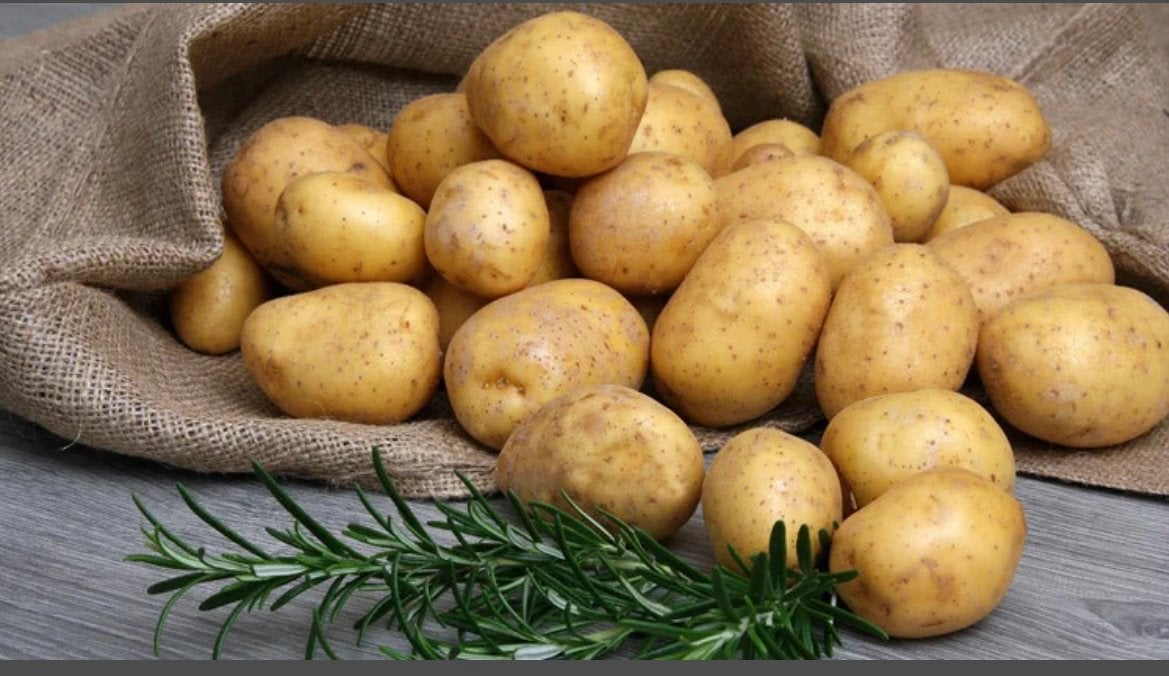 Nieuwe biologische aardappels aardappelen te koop., Ophalen, Overige soorten, Minder dan 100 cm