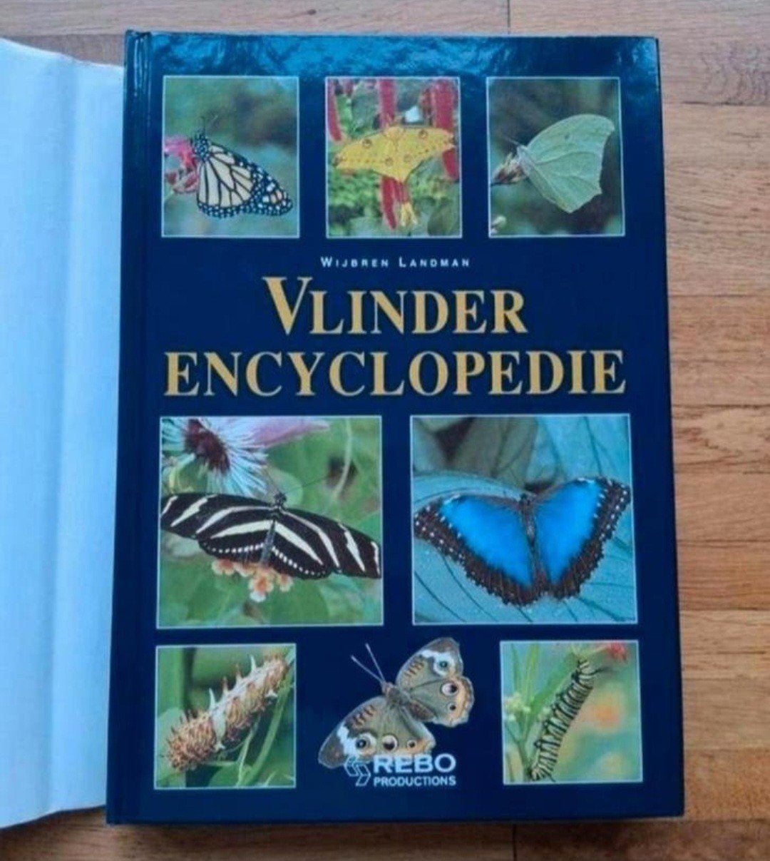 Vlinder encyclopedie een prachtig verzamelwerk foto's info, Boeken, Natuur, Ophalen of Verzenden, Zo goed als nieuw