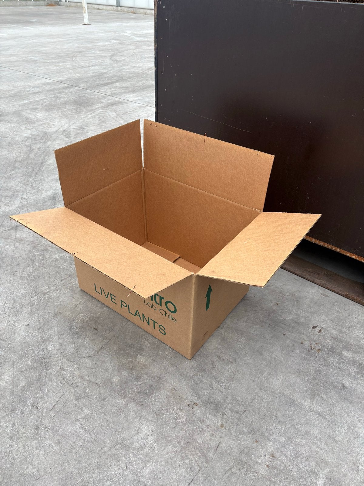 Stevige verhuisdozen, Ophalen, 40 tot 60 cm, Opvouwbaar, 50 tot 75 cm