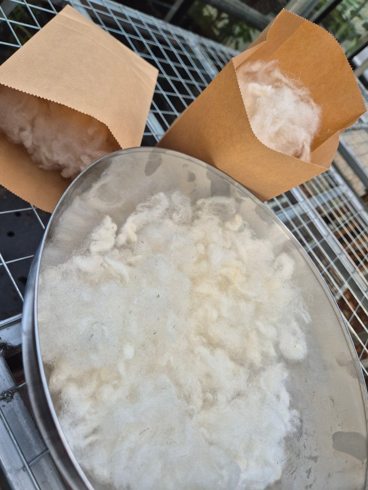 Schapenwol. Met de hand ontdaan van vuil en gewassen, Hobby en Vrije tijd, Ophalen of Verzenden