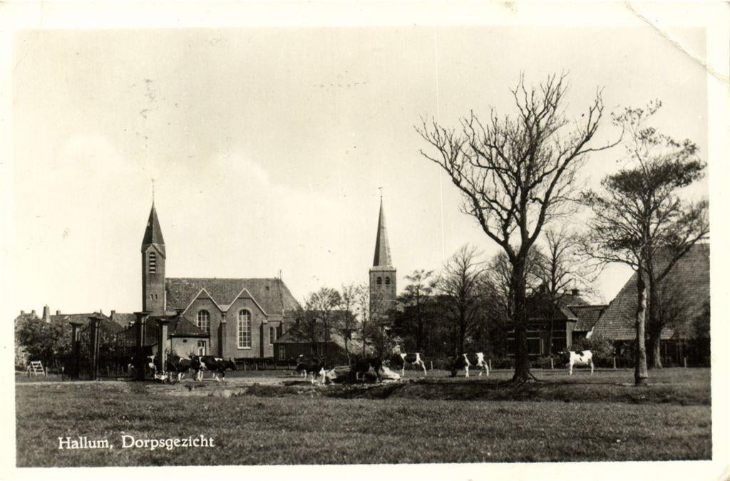 Hallum, Dorpsgezicht - B-keus - 1958 gelopen, Ophalen of Verzenden, 1940 tot 1960, Gelopen, Noord-Brabant