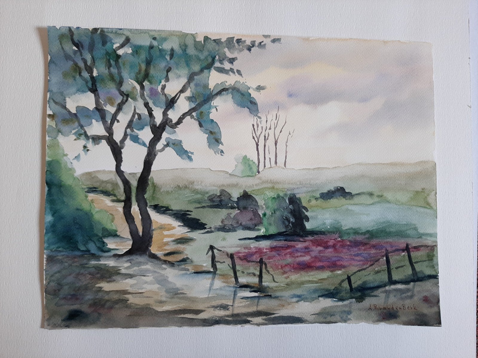 aquarel terschelling, Antiek en Kunst, Ophalen of Verzenden