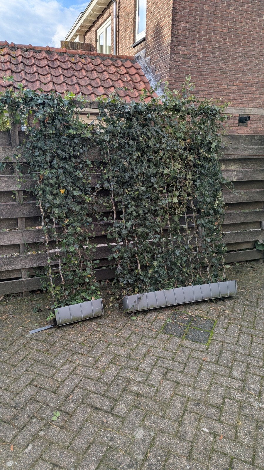 Heg Klimop (Hedera) - Kant en klaar haag 40x180 + 120x180cm, Ophalen, Gebruikt, Overige materialen, Overige typen