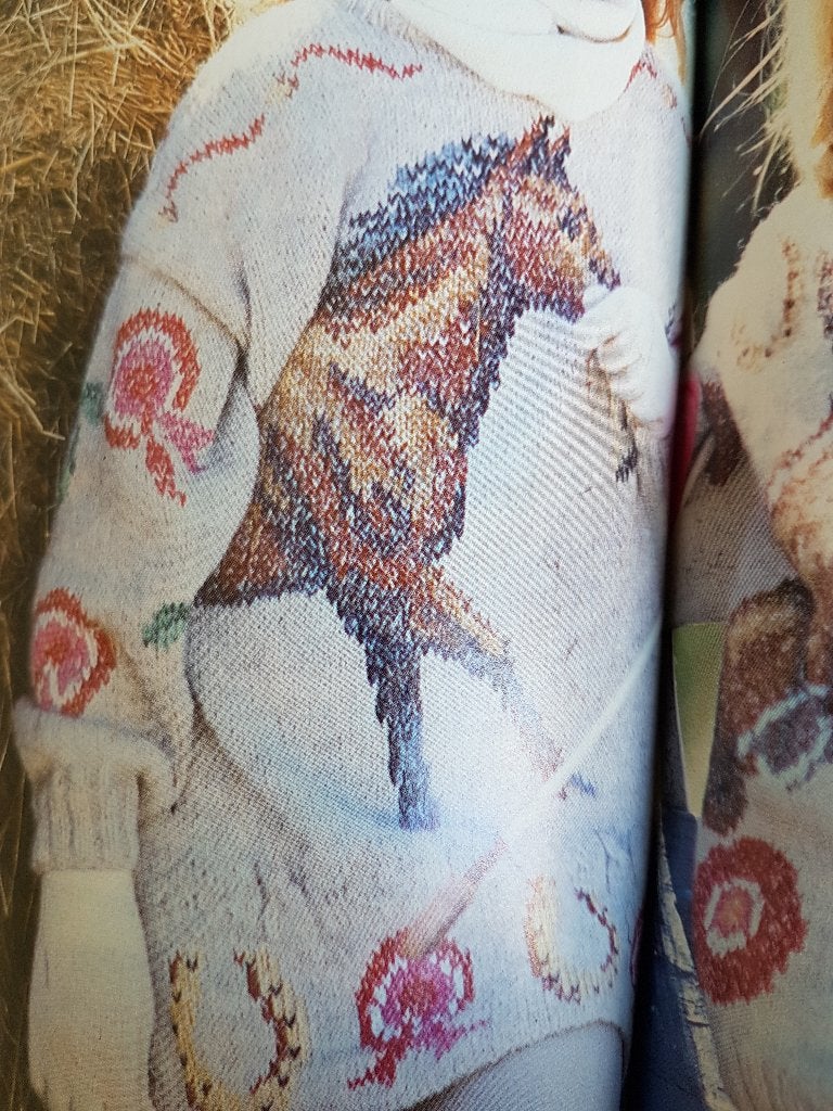 Paard en hoefijzers trui breipatroon, Hobby en Vrije tijd, Ophalen of Verzenden, Zo goed als nieuw, Breien, Patroon of Boek