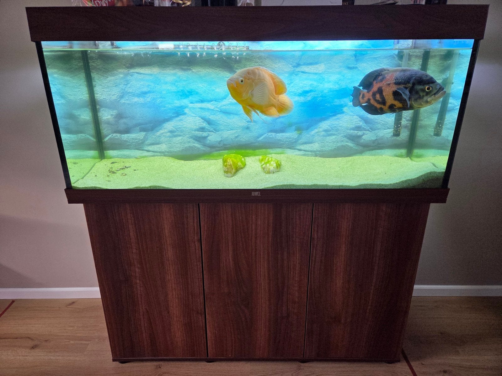 Compleet aquarium 120 cm inclusief pomp. exclusief vissen, Ophalen, Nieuw, Gevuld zoetwateraquarium, Verwarming