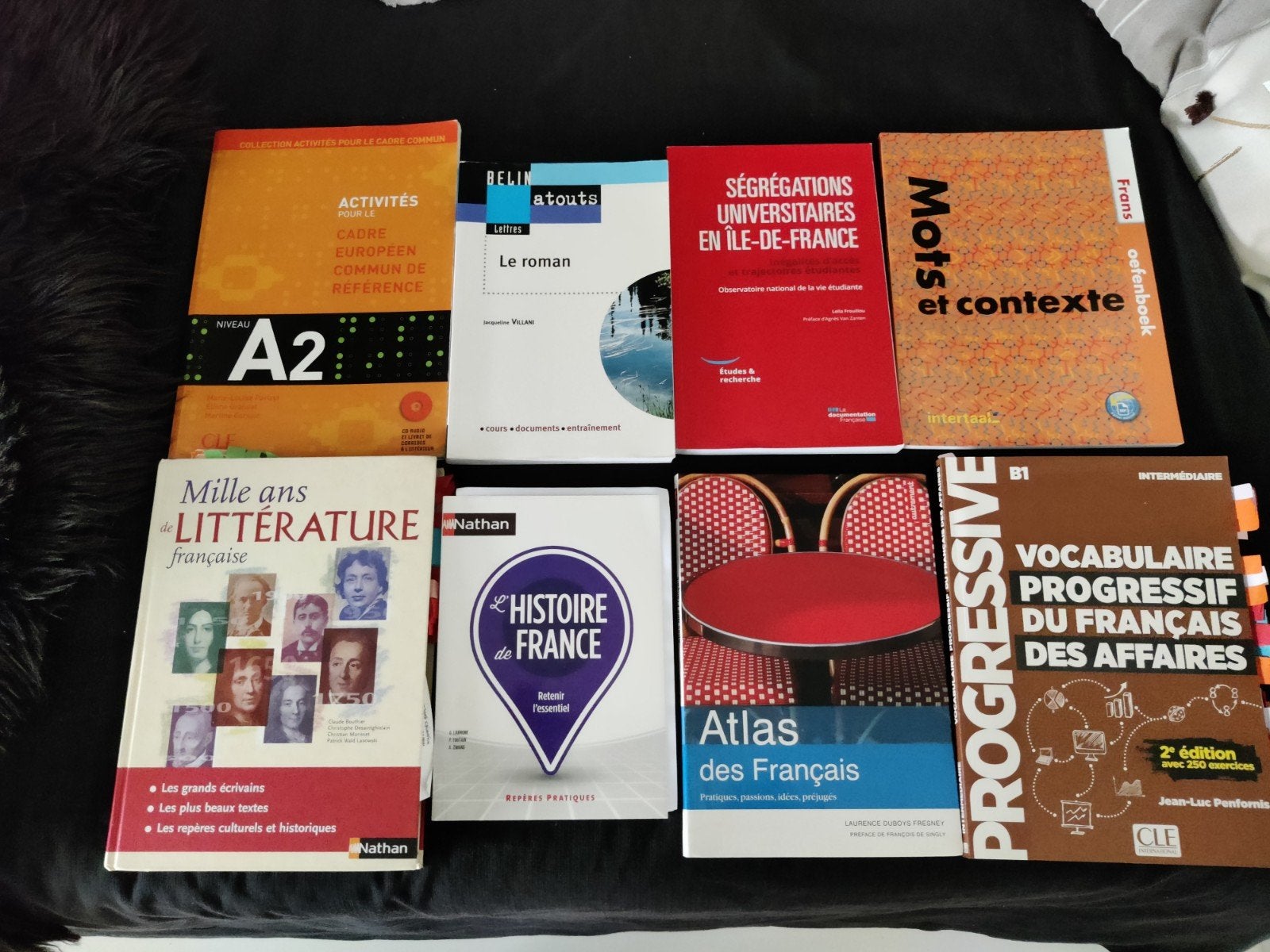 Franse studieboeken - Diverse niveaus en onderwerpen, Frans, Non-fictie, Diverse auteurs, Ophalen of Verzenden
