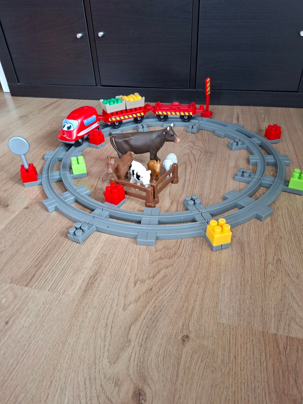 Treinset met Dieren en Spoor, Ophalen, Gebruikt