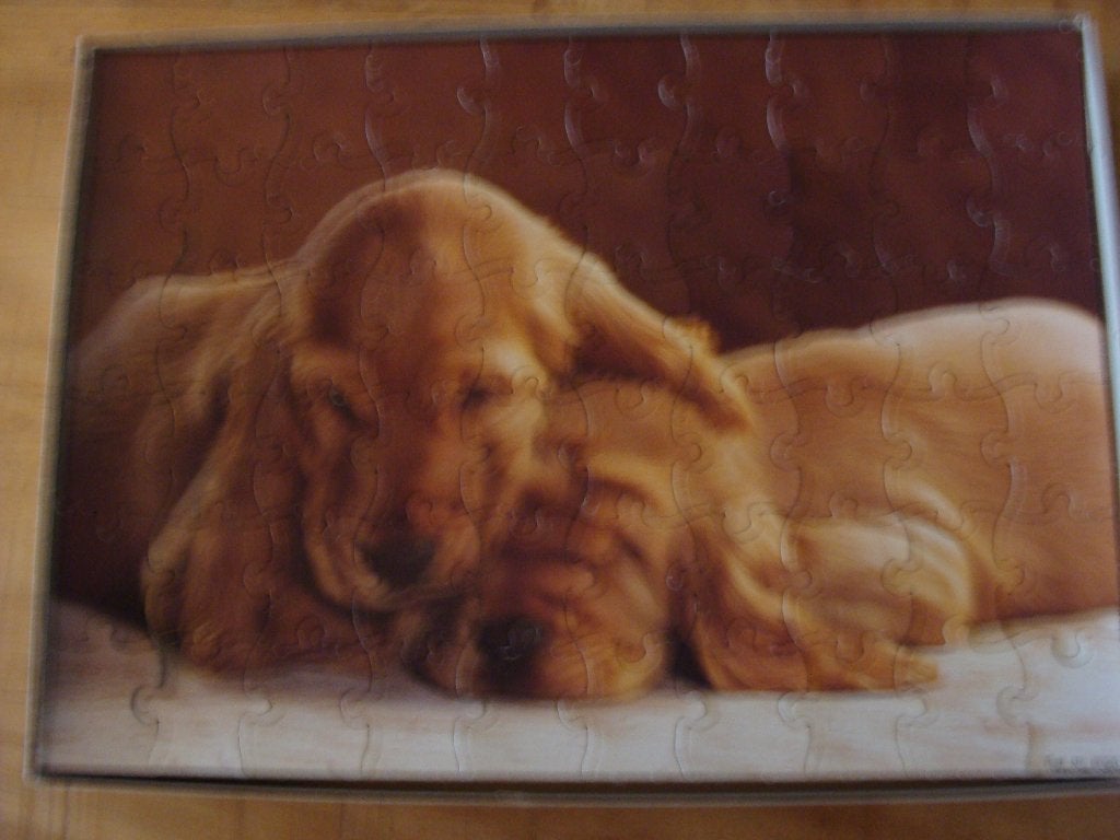 Play Time legpuzzel PUPPIES, Ophalen of Verzenden, 500 t/m 1500 stukjes, Zo goed als nieuw, Legpuzzel