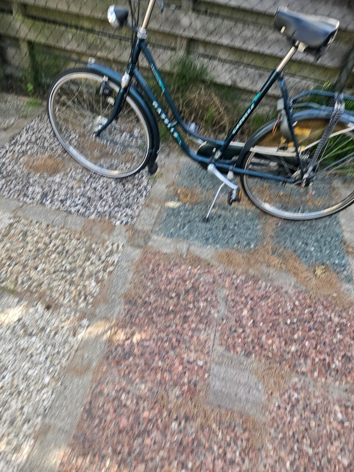 Gazelle Damesfiets - Klassiek en Betrouwbaar 24 inch, Ophalen, Velgrem, Versnellingen, Gazelle