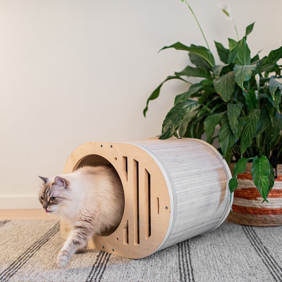 Ebi Tara kattenmand, Ophalen, Zo goed als nieuw
