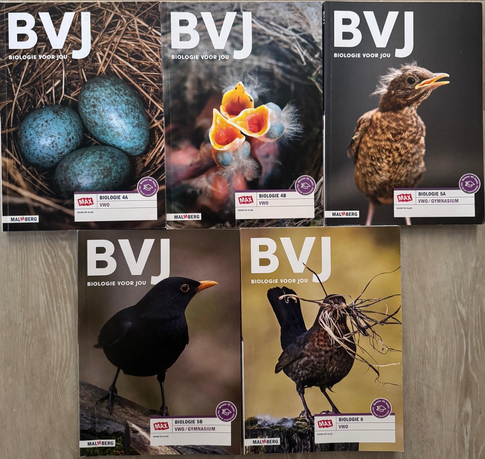 Biologie voor Jou (BVJ) VWO 4A, 4B, 5A, 5B, 6 Malmberg, Ophalen of Verzenden, Beta, Zo goed als nieuw, WO