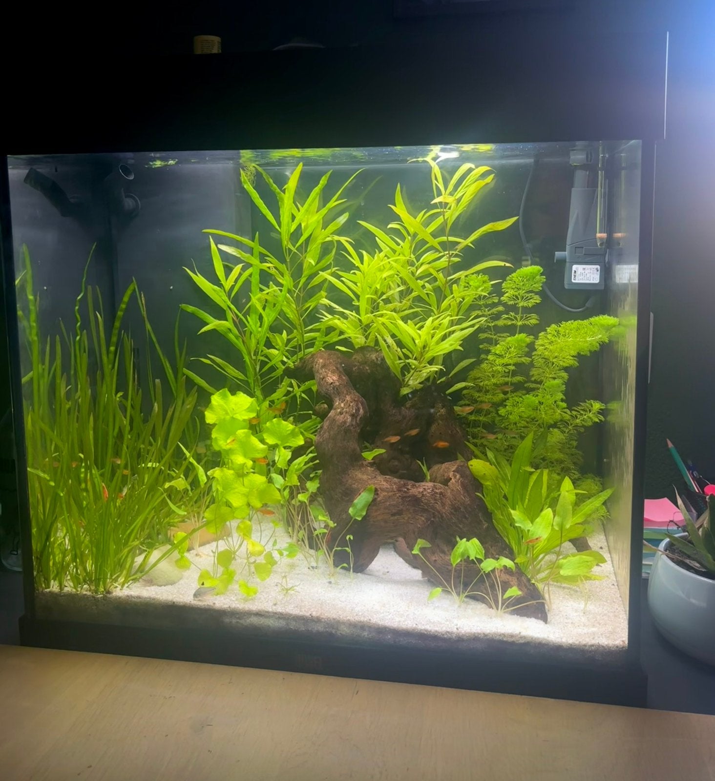 Juwel Lido 120 LED, Dieren en Toebehoren, Ophalen, Verwarming, Zo goed als nieuw, Leeg aquarium