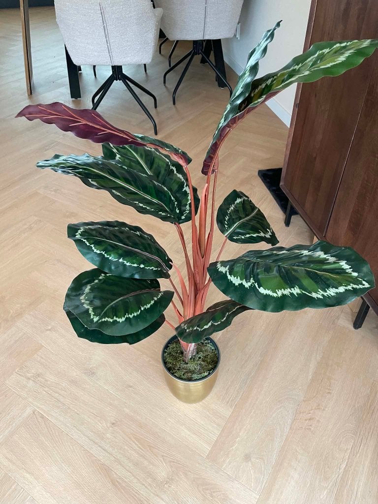 Kunstplant, Calathea van Mica Decorations + gouden pot, Ophalen, Binnen, Groen, Onderhoudsvrij