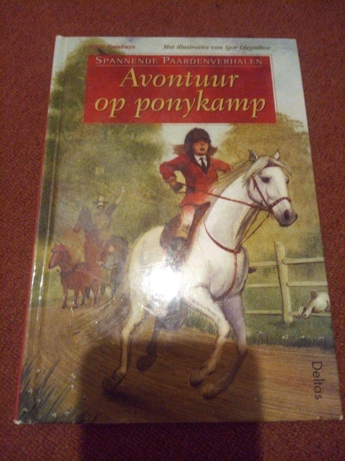 Avontuur op ponykamp - Spannende Paardenverhalen, Verzenden, Gelezen, Bresbuys, Fictie