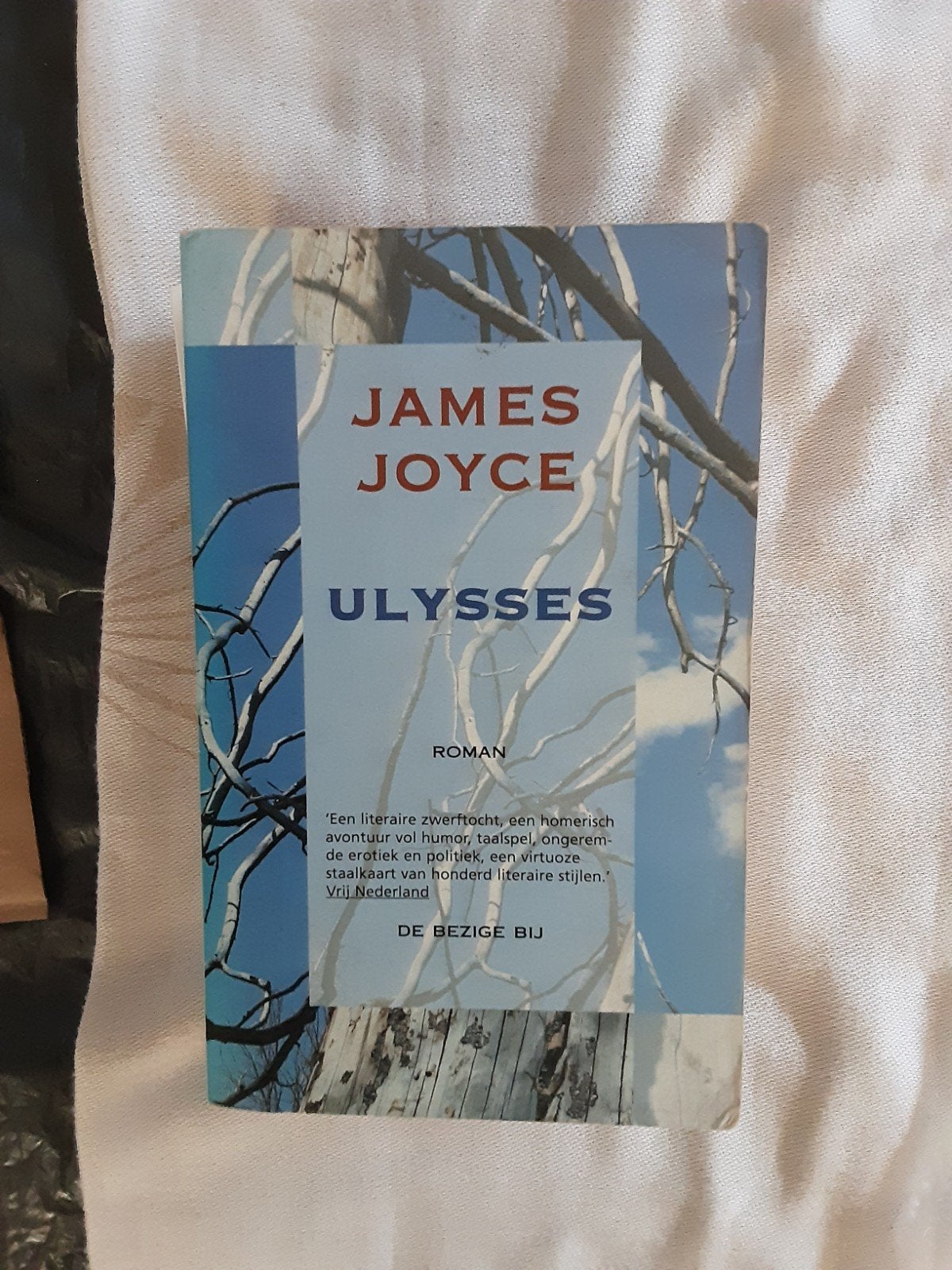 James Joyce, Boeken, Ophalen of Verzenden