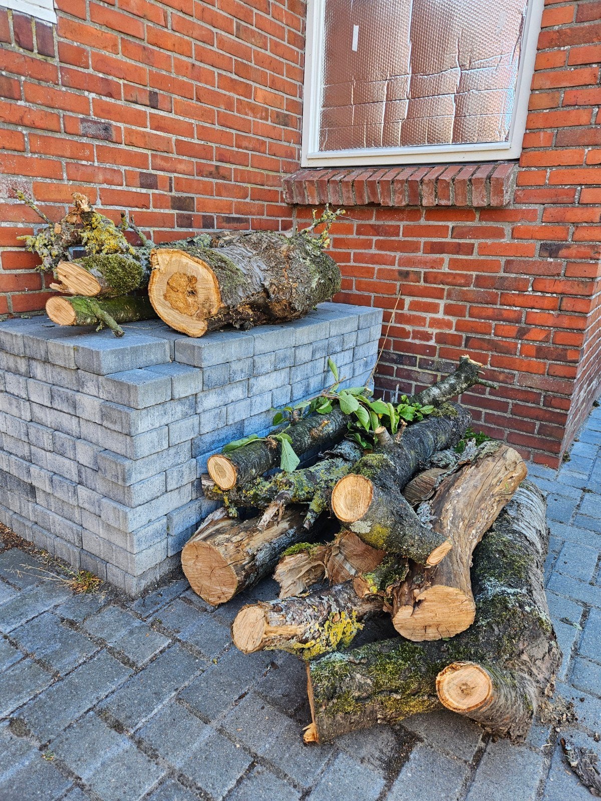 Brandhout: Stammen en takken appelboom, Tuin en Terras, Haardhout, Minder dan 3 m³, Ophalen, Overige houtsoorten, Stammen